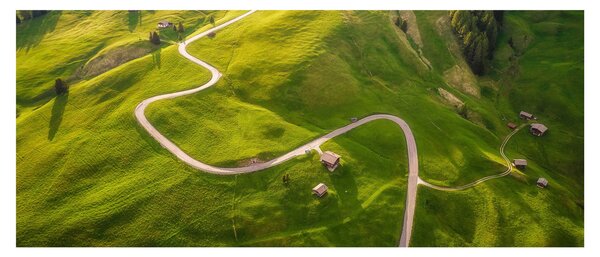 Obraz - Náhorná lúka (120x50 cm)