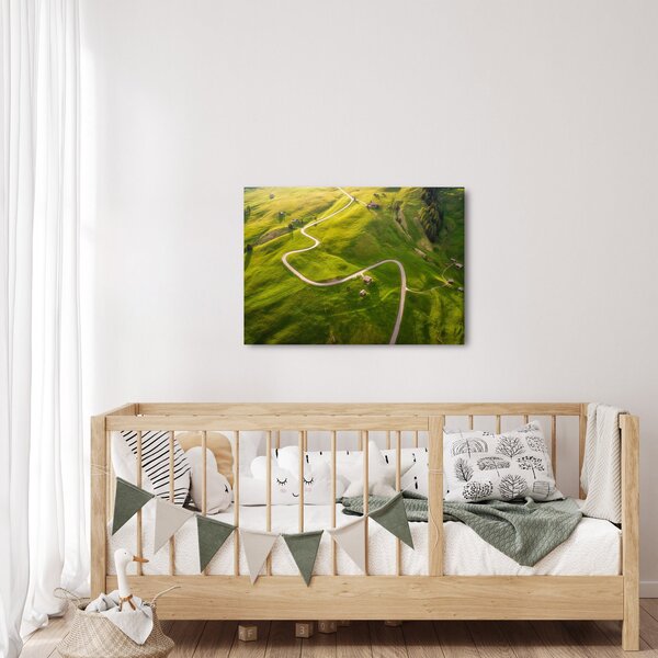 Obraz - Náhorná lúka (70x50 cm)