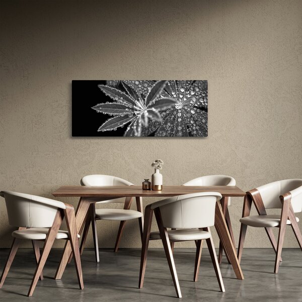 Obraz - Kvapky (120x50 cm)