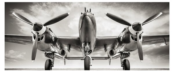 Obraz - Warbird (120x50 cm)