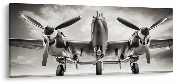 Obraz - Warbird (120x50 cm)