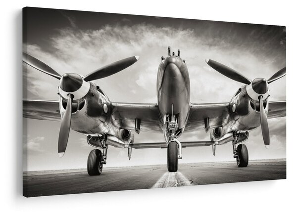Obraz - Warbird (90x60 cm)
