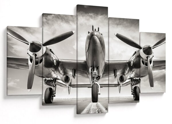 Obraz - Warbird (150x105 cm)