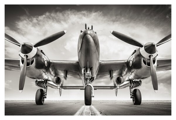 Obraz - Warbird (90x60 cm)