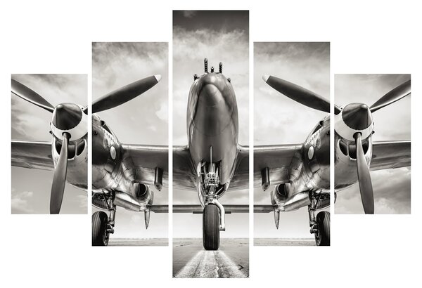 Obraz - Warbird (150x105 cm)