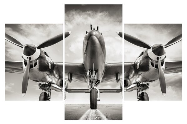 Obraz - Warbird (90x60 cm)