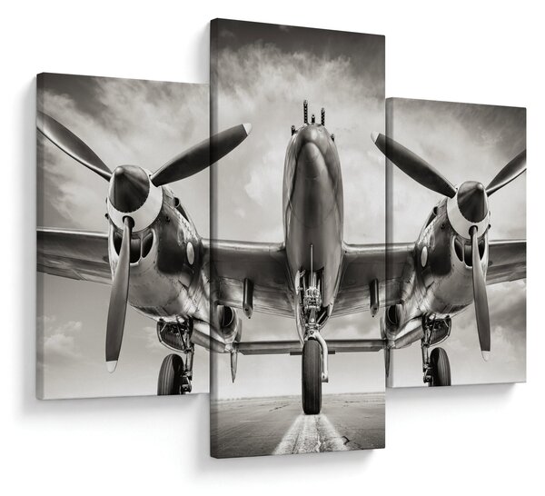 Obraz - Warbird (90x60 cm)