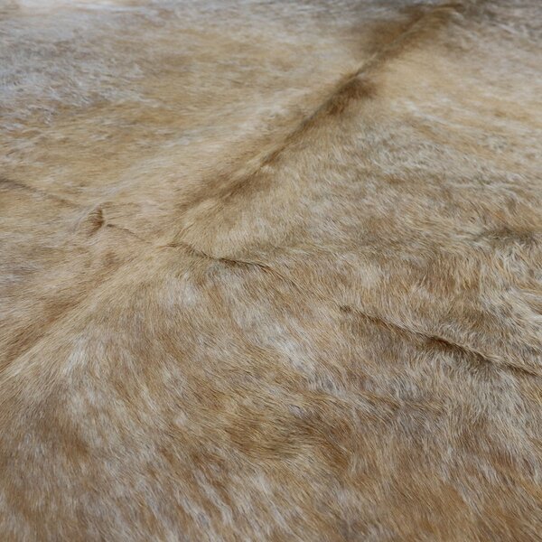 Hovädzia koža - Beige 215x200 cm