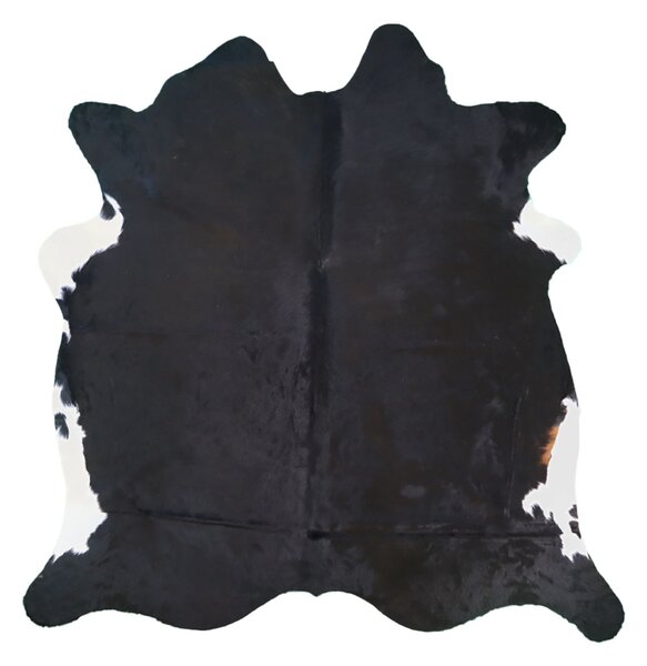 Hovädzia koža - Dark 205x205 cm