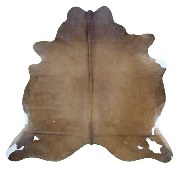 Hovädzia koža - Brown 215x195 cm