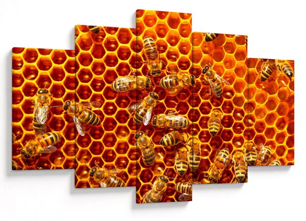 Obraz - Medový plást (150x105 cm)