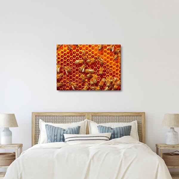 Obraz - Medový plást (70x50 cm)