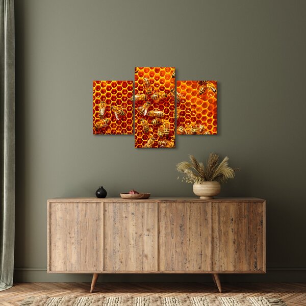 Obraz - Medový plást (90x60 cm)