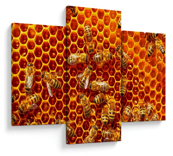 Obraz - Medový plást (90x60 cm)