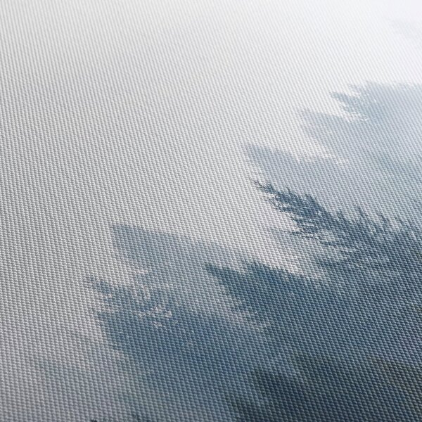 Obraz - Zahmlený les (120x50 cm)