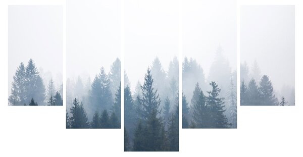 Obraz - Zahmlený les (150x105 cm)