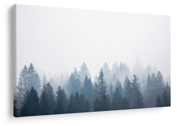 Obraz - Zahmlený les (90x60 cm)