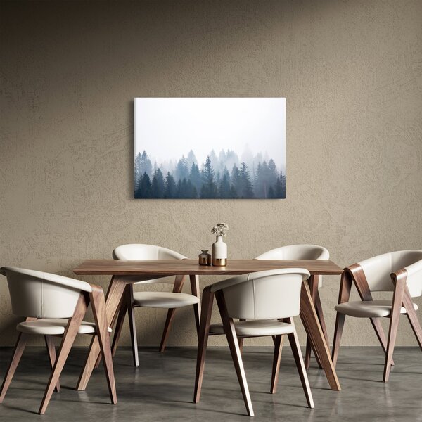 Obraz - Zahmlený les (90x60 cm)
