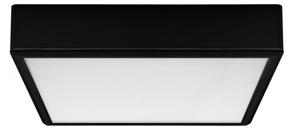 Rabalux 71247 - LED Stropné svietidlo LAURI LED/22W/230V 21x21 cm čierna