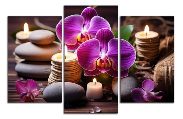 Obraz na plátne Zen kamene a orchidey