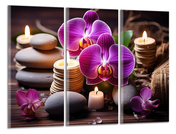 Obraz na plátne Zen kamene a orchidey