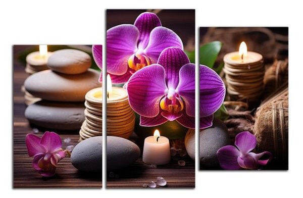 Obraz na plátne Zen kamene a orchidey