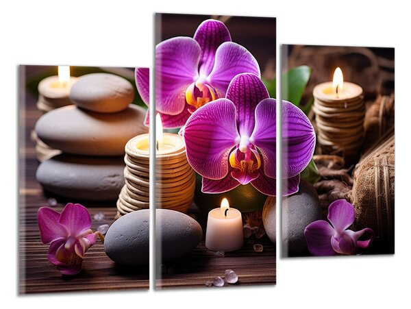 Obraz na plátne Zen kamene a orchidey