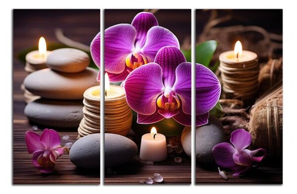 Obraz na plátne Zen kamene a orchidey