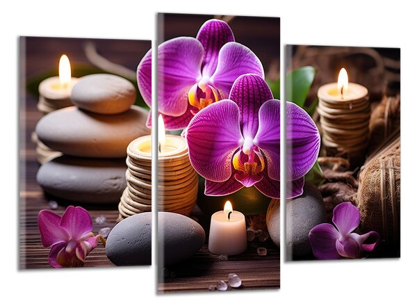 Obraz na plátne Zen kamene a orchidey