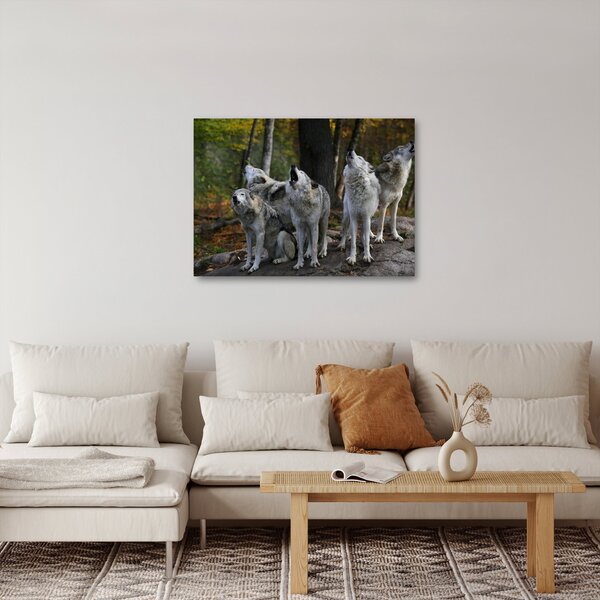 Obraz - Vlci na skale (70x50 cm)