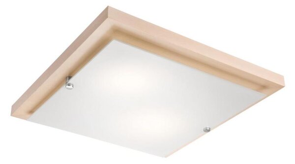 Stropné svietidlo 2xE27/60W/230V