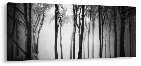 Obraz - Vlk v temnom lese (120x50 cm)
