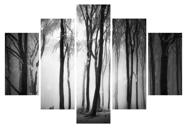 Obraz - Vlk v temnom lese (150x105 cm)