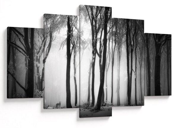 Obraz - Vlk v temnom lese (150x105 cm)