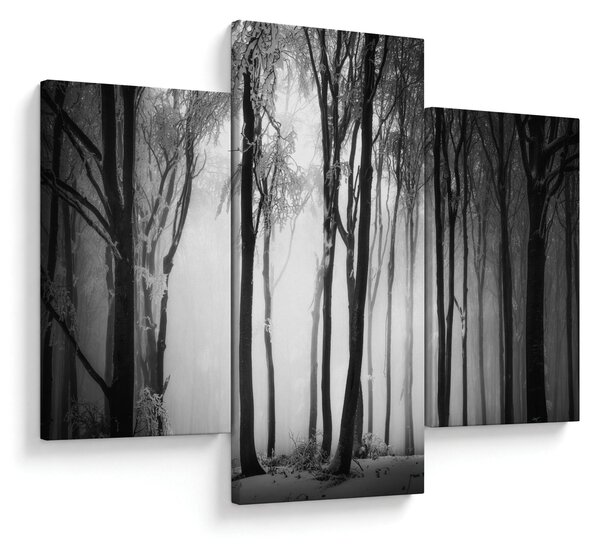 Obraz - Vlk v temnom lese (90x60 cm)