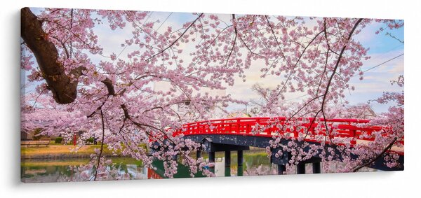 Obraz - Hirosaki, Japonsko (120x50 cm)