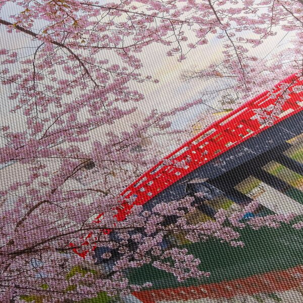 Obraz - Hirosaki, Japonsko (120x50 cm)