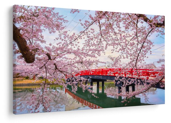 Obraz - Hirosaki, Japonsko (90x60 cm)