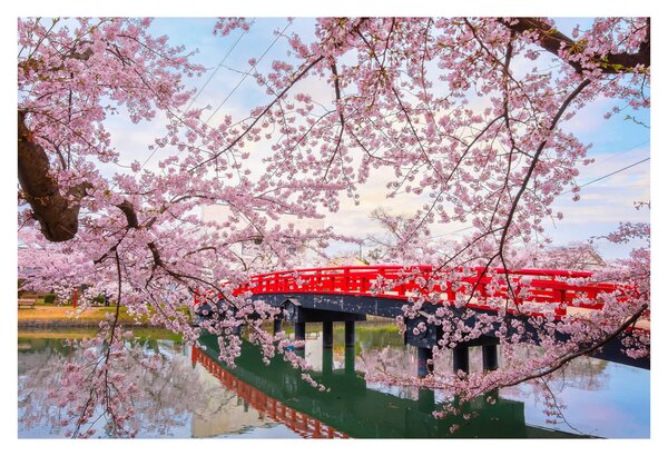 Obraz - Hirosaki, Japonsko (90x60 cm)