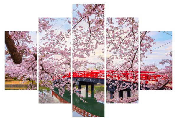 Obraz - Hirosaki, Japonsko (150x105 cm)