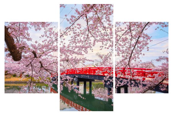 Obraz - Hirosaki, Japonsko (90x60 cm)