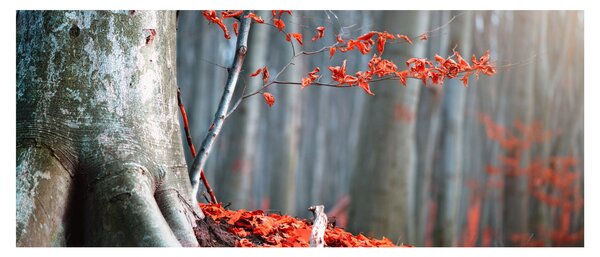 Obraz - Jeseň (120x50 cm)