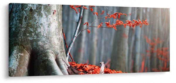 Obraz - Jeseň (120x50 cm)