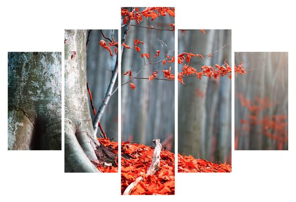 Obraz - Jeseň (150x105 cm)