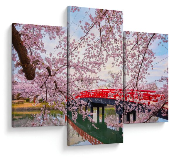 Obraz - Hirosaki, Japonsko (90x60 cm)