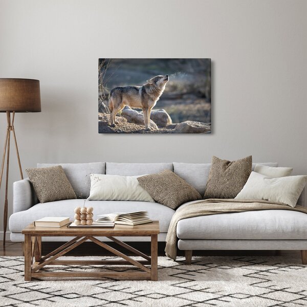 Obraz - Vyjúci vlk (90x60 cm)