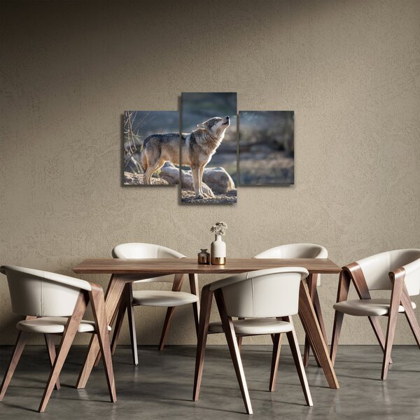 Obraz - Vyjúci vlk (90x60 cm)