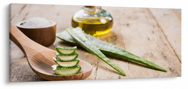 Obraz - Aloe vera (120x50 cm)