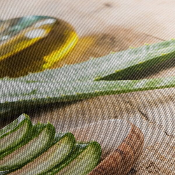 Obraz - Aloe vera (90x60 cm)