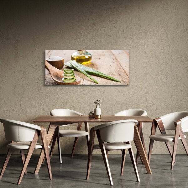 Obraz - Aloe vera (120x50 cm)